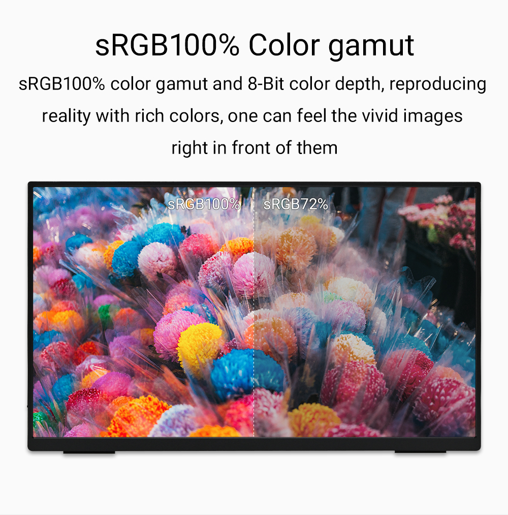 ZSUS 18-Inch 1080P 100Hz 100%s - đánh giá và giá Retro Gaming Monitor