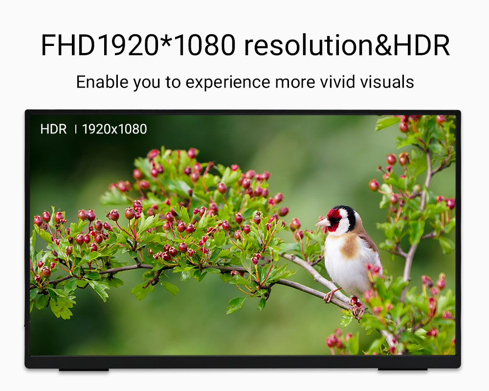ZSUS 18-Inch 1080P 100Hz 100%s - đánh giá và giá Retro Gaming Monitor
